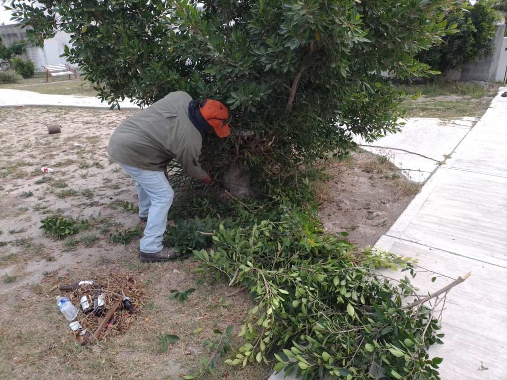 Municipio de Río Bravo embellece áreas verdes en Las Margaritas y Praderas del&nbsp;Sol