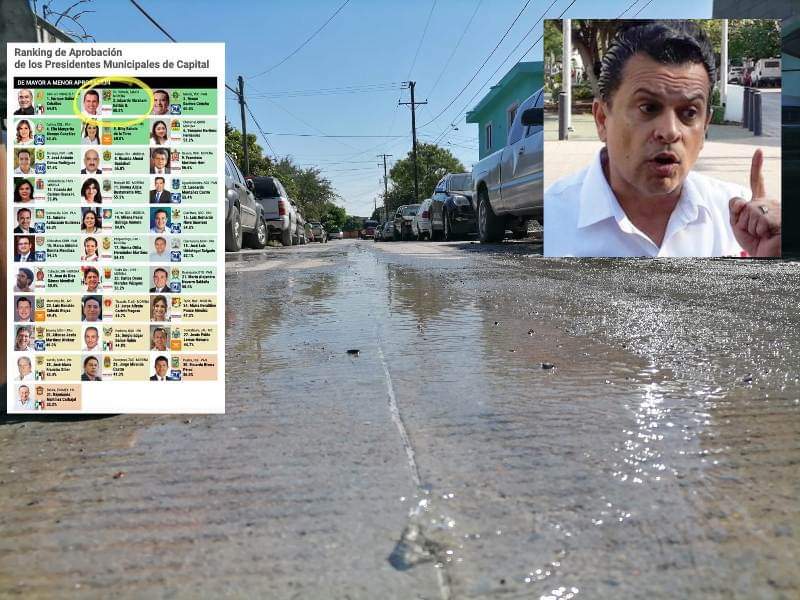 ENTRE BACHES, MOJODRILOS Y CACAIMANES TE&nbsp;VEAS!!!