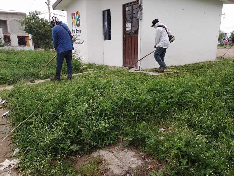 BRINDA GOBIERNO DE RÍO BRAVO, APOYO TOTAL A ÁREAS VERDES DE&nbsp;CONQUISTADORES