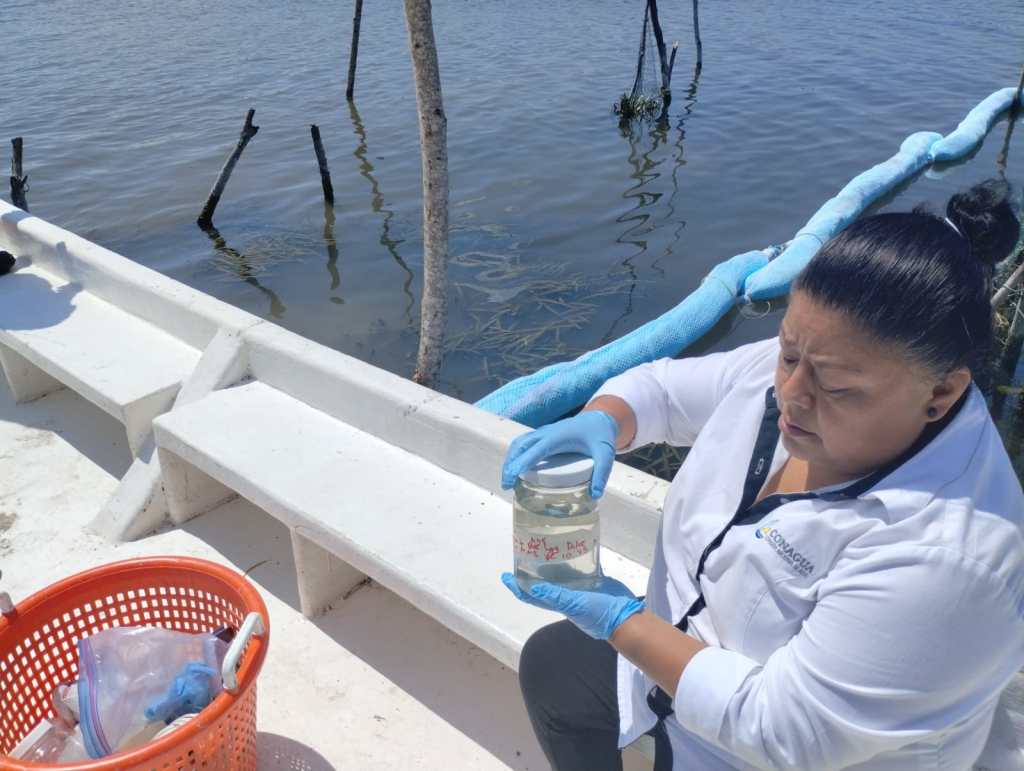 COMAPA Altamira asegura calidad del agua tras hundimiento de una draga en la laguna de&nbsp;Champayán