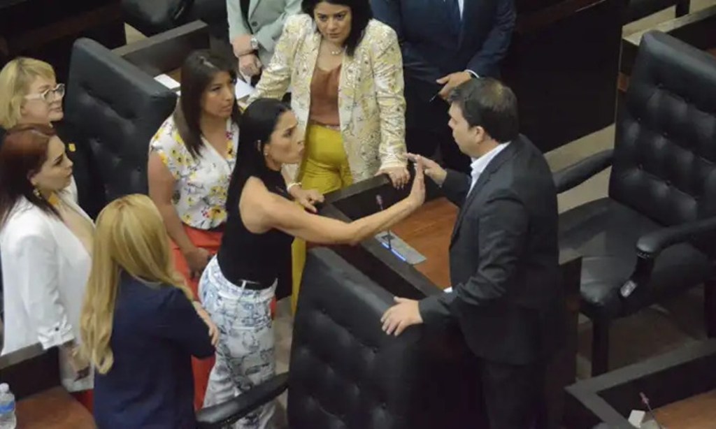 LA VALIENTE DIPUTADA NORA GÓMEZ, ENCARA, “AL CACHORRO Y AL&nbsp;MOYO”.