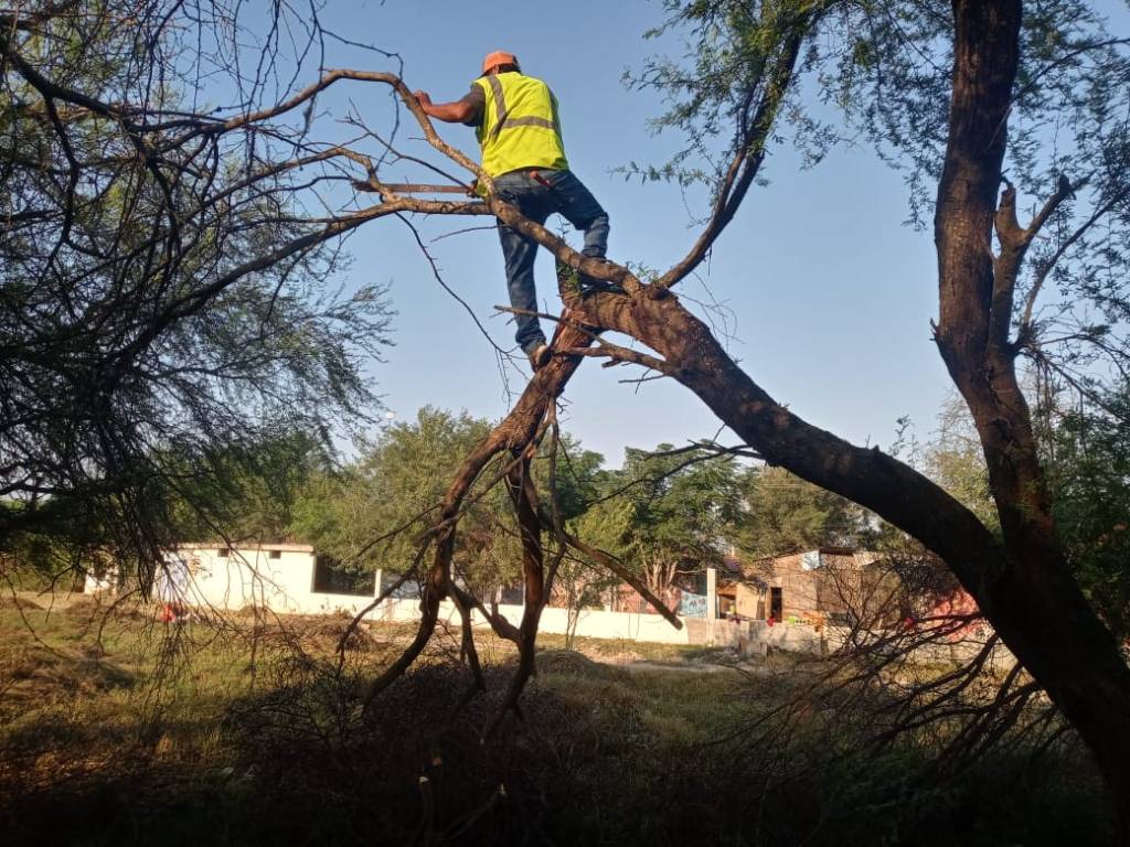 Gobierno de Río Bravo continúa con la recolección de vegetación muerta en Nuevo&nbsp;Progreso