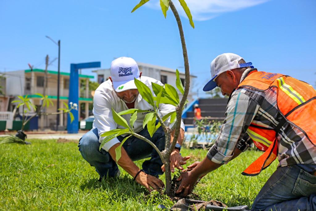 Encabeza Pepe Schekaibán Acciones de Reforestación en Espacios&nbsp;Públicos