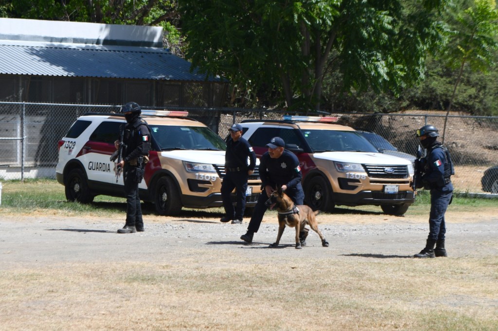 La Secretaría de Seguridad Pública de Tamaulipas reconoce el trabajo de los binomios caninos en el Día Nacional del&nbsp;Perro