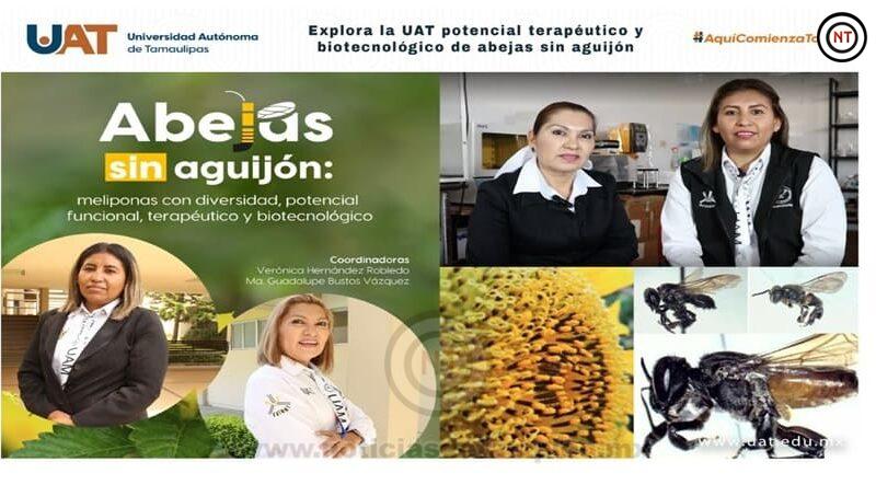 Explora la UAT potencial terapéutico y biotecnológico de abejas sin&nbsp;aguijón