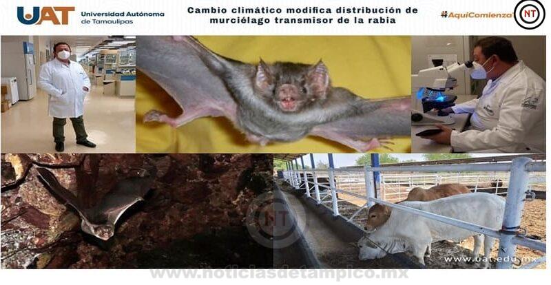 Cambio climático modifica distribución de murciélago transmisor de la&nbsp;rabia