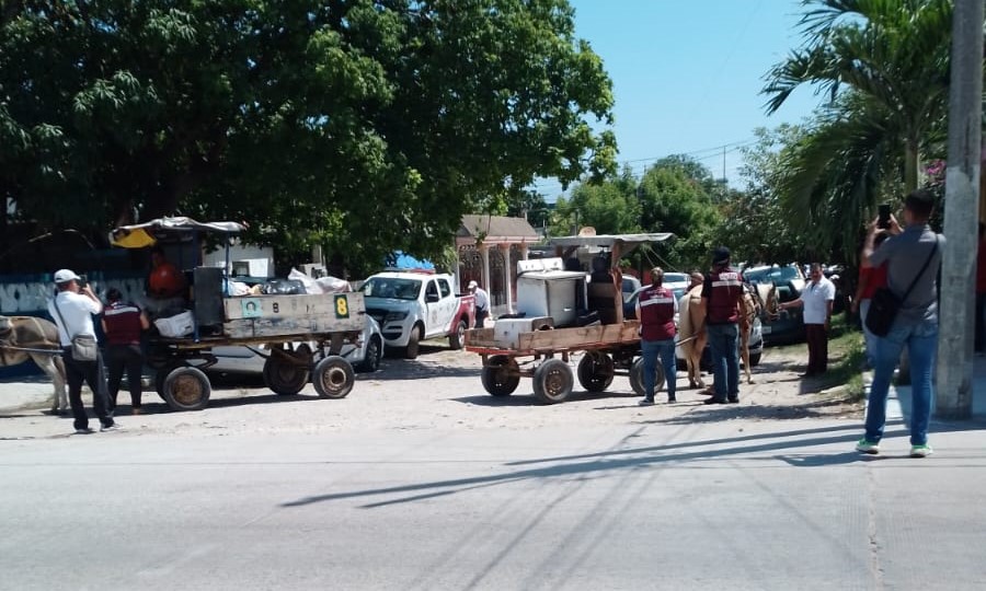 Gobierno de Ciudad Madero Fomenta el Cuidado&nbsp;Animal