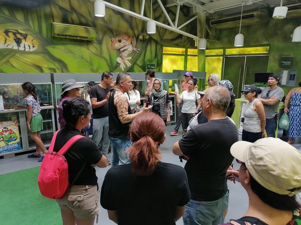 Expone Parque Ecológico de la Biósfera El Cielo especies de reptiles y anfibios a la&nbsp;población