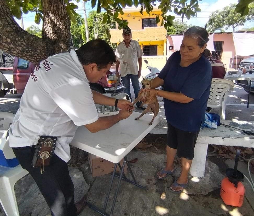 Fomentan el Bienestar de las Mascotas en Ciudad&nbsp;Madero