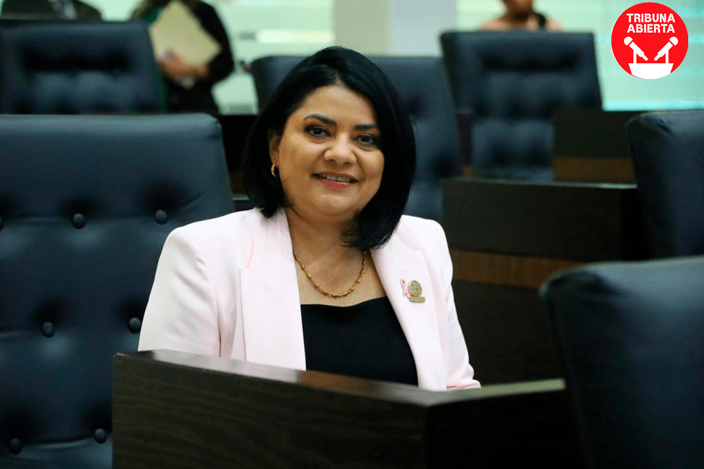 Úrsula Salazar Propone Reformas para Regular y Sancionar Inasistencia de&nbsp;Diputados