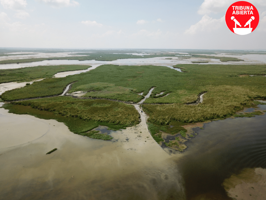 Avanzan Labores de Desazolve en Laguna de&nbsp;Champayán