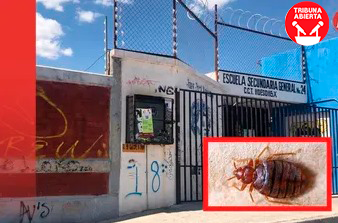Siete Escuelas en León Detectan Plaga de Chinches y Regresan a Clases&nbsp;Virtuales