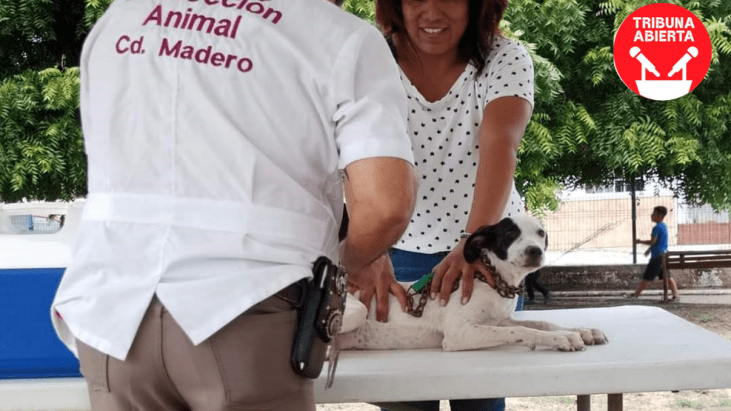 Ciudad Madero: Por el Bienestar de Nuestras&nbsp;Mascotas