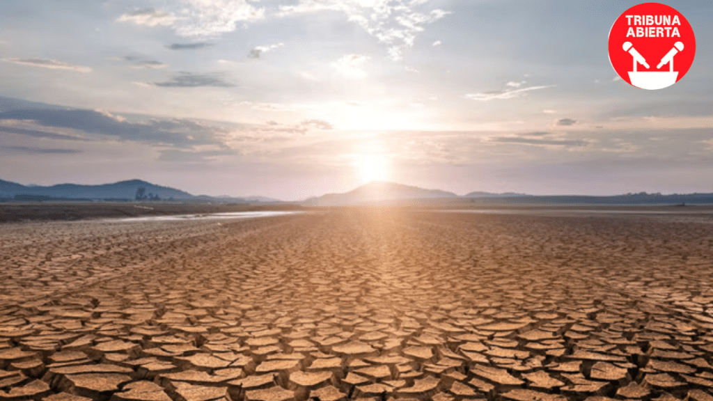 Las sequías en México se vuelven más intensas y recurrentes. ¿Cómo afectan a la agricultura y la&nbsp;ganadería?