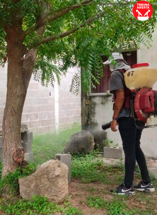 Ciudad Madero Refuerza Lucha contra Enfermedades Transmitidas por&nbsp;Mosquitos