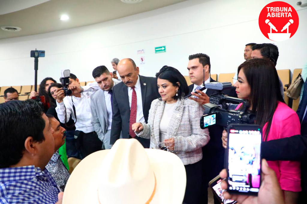 Congreso Recibe Exhorto para que Tampico Informe sobre Concesión a Empresa HOVA GREEN, S.A. de&nbsp;C.V.