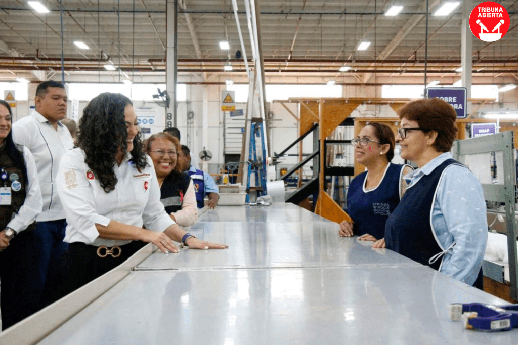 Springs Window Fashions en Victoria: Estabilidad y Productividad Garantizadas, según&nbsp;STPS