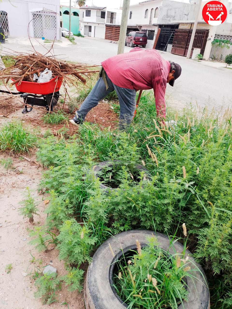 DIGNIFICA GOBIERNO DE RÍO BRAVO, ÁREAS FAMILIARES EN BRISAS DEL&nbsp;CAMPO