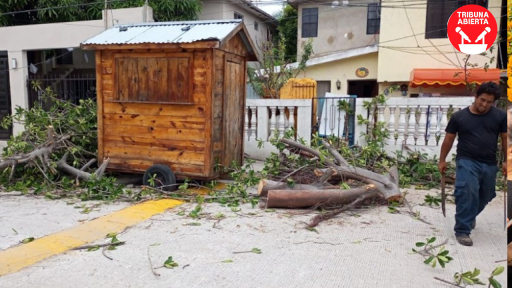 Bomberos de Ciudad Madero toman medidas preventivas ante riesgos por vientos y&nbsp;árboles