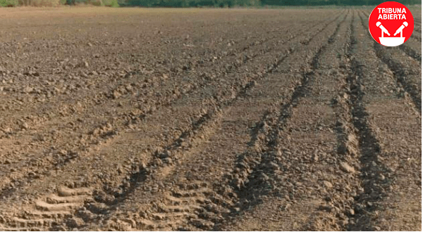 Agricultores de Matamoros Confían en el Cambio Climático para Superar la&nbsp;Sequía