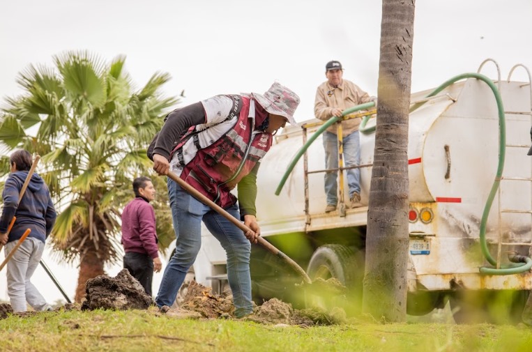 Gobierno Maderense Realiza Acciones de Jardinería y Reforestación en Laguna Nuevo&nbsp;Amanecer
