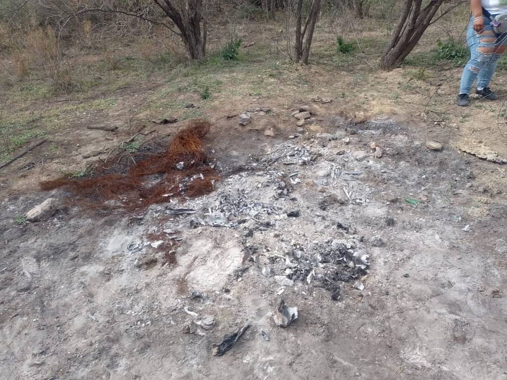 Confirman el hallazgo de otro campo de exterminio humano en&nbsp;Reynosa