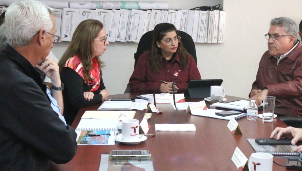 Avanza Proyecto de Gestión de Información en&nbsp;Tamaulipas