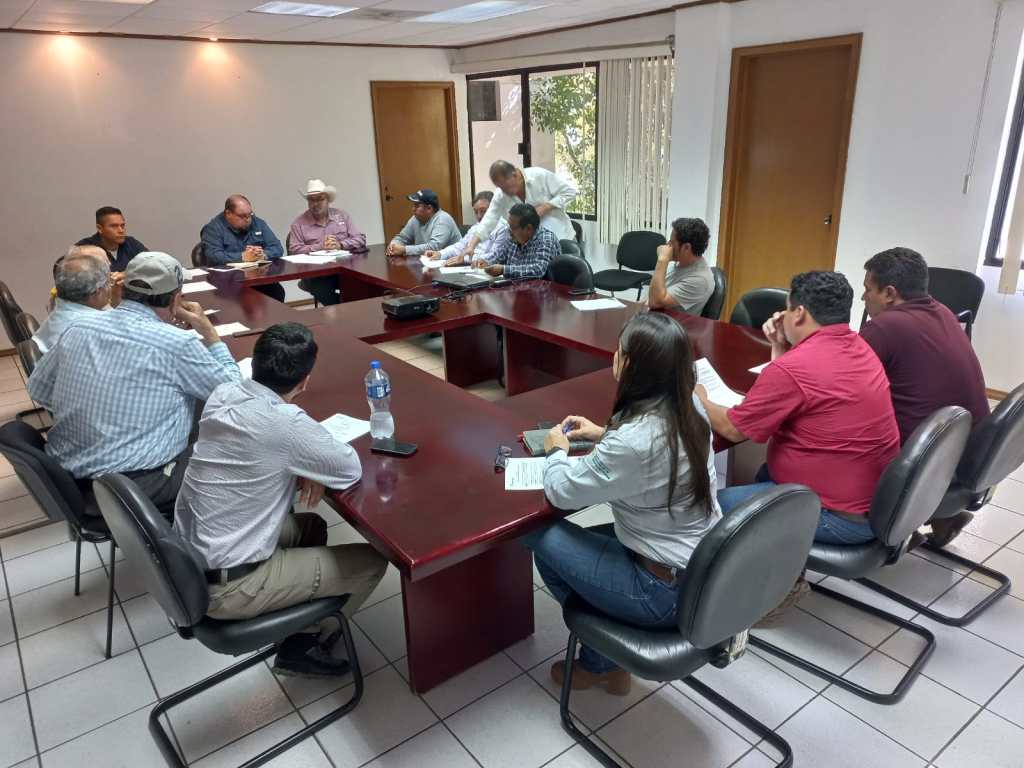 Gobierno Estatal y Apicultores Trabajan en Coordinación para Resolver&nbsp;Problemáticas