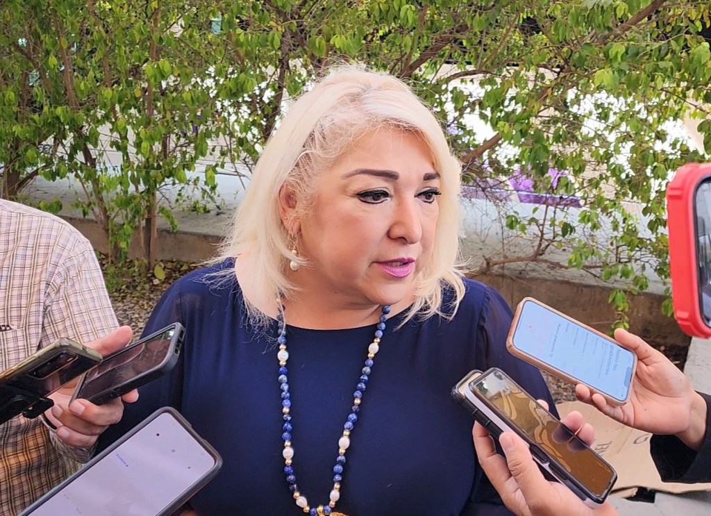 Descuento del 75% en recargos de control vehicular durante febrero: Adriana&nbsp;Lozano