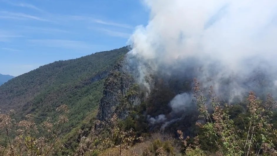 Quemas Agrícolas, Principales Causas de Incendios en&nbsp;Hidalgo