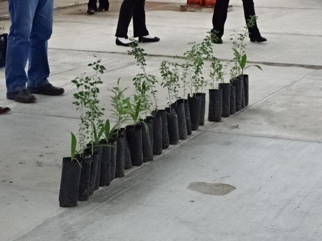 Gobierno de Río Bravo Continúa Promoviendo Acciones Ambientales en Pro del Futuro&nbsp;Generacional