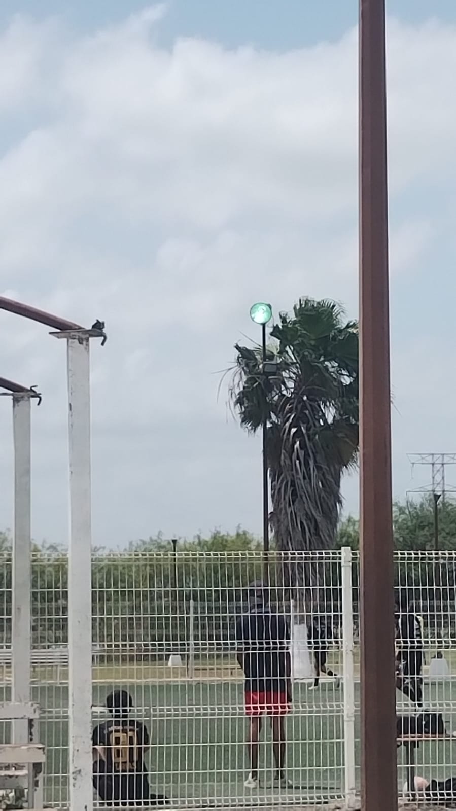 Gobierno de Río Bravo realiza mantenimiento en alumbrado público para mejorar&nbsp;seguridad