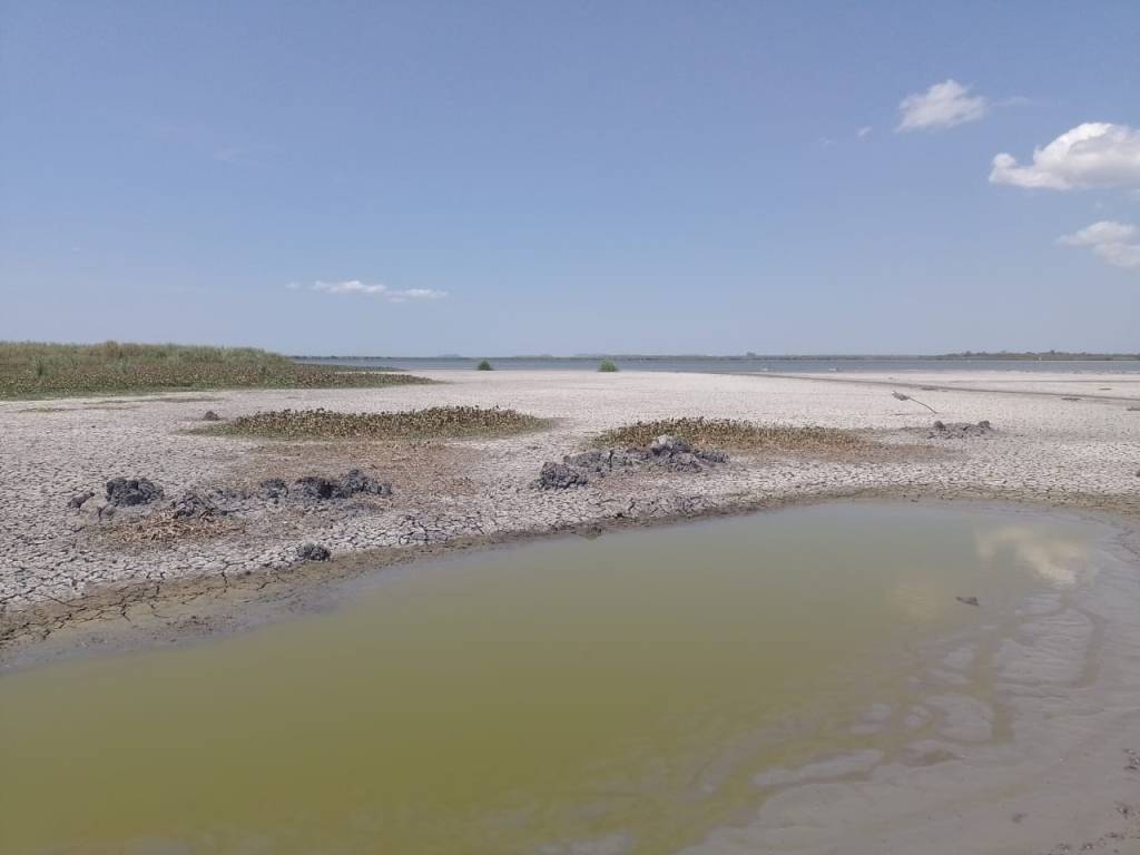 Pescadores en crisis por sequía han cambiado de&nbsp;actividad.