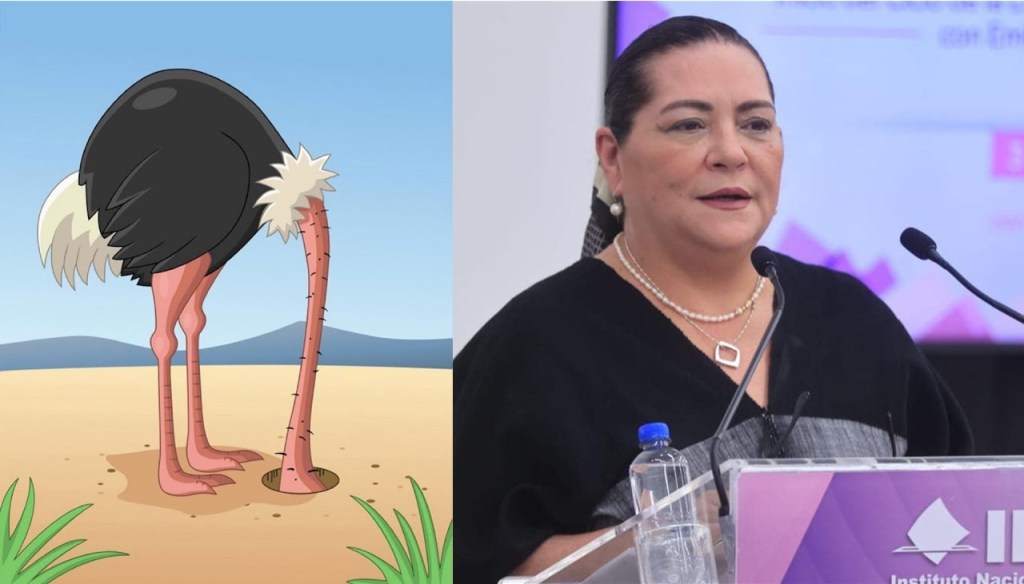 La dudosa parcialidad de Guadalupe Taddei y la posición del&nbsp;avestruz