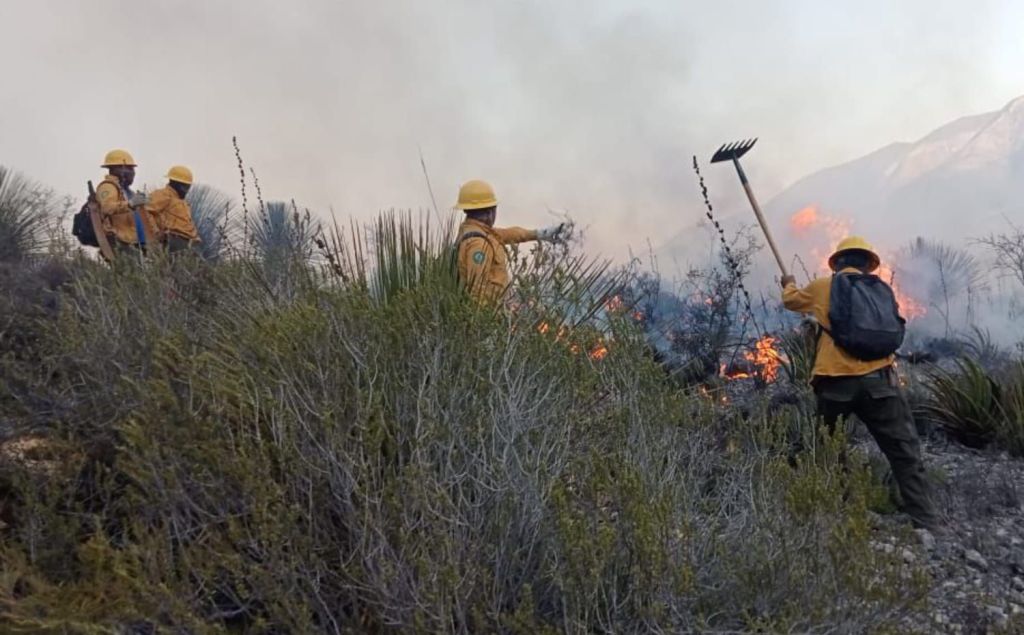 Refuerzan coordinación Estado y Federación para combatir incendio&nbsp;forestal