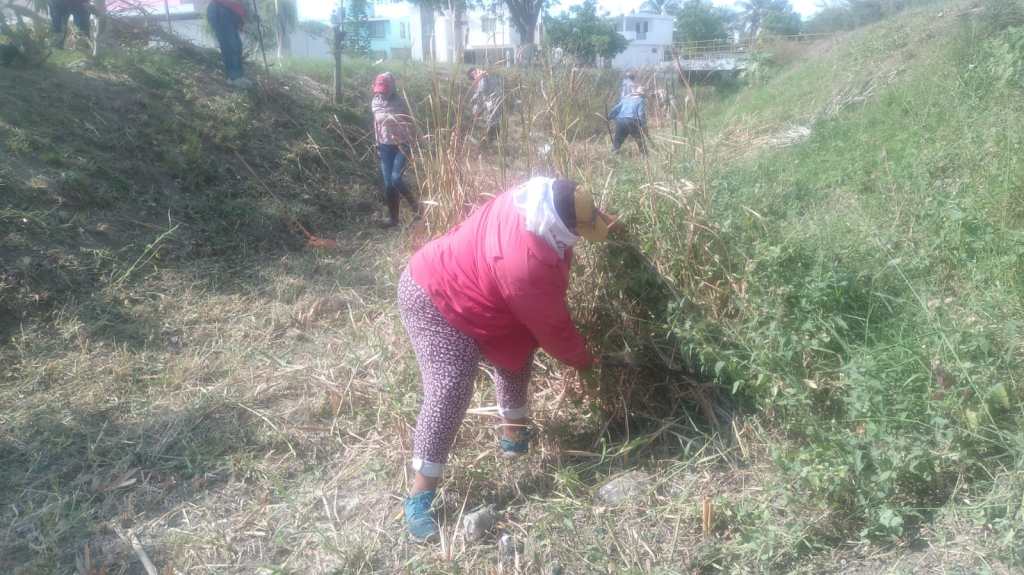 Trabajos permanentes de limpieza en Canales de Ciudad&nbsp;Madero