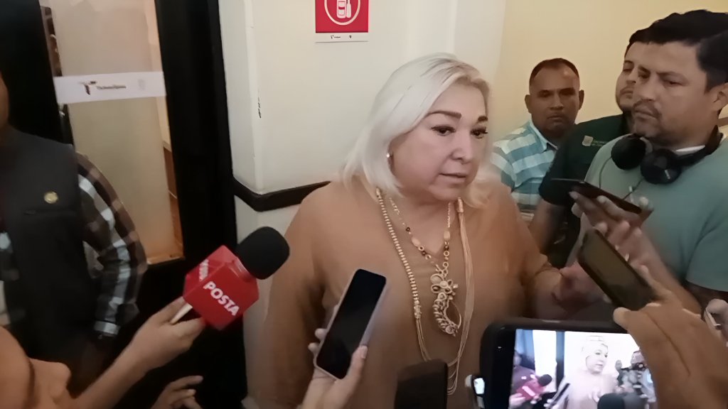 Adriana Lozano promueve el diálogo con empresas para una transición justa hacia la obligación fiscal&nbsp;verde
