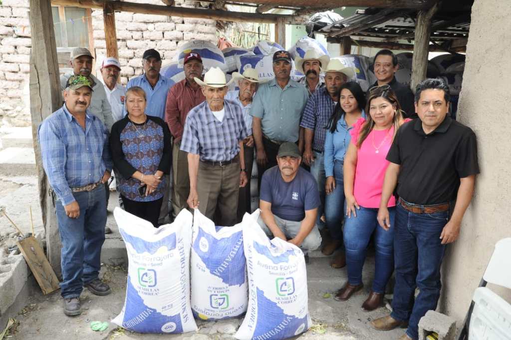 Reciben productores del altiplano semilla de avena&nbsp;forrajera