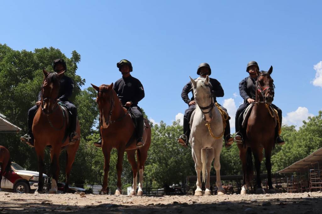 Agrupamiento montado de la Guardia Estatal mantiene proximidad&nbsp;permanente