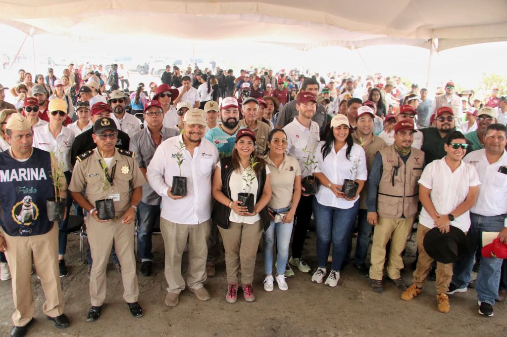 Refuerza SEDUMA reforestación de mangle en costas&nbsp;tamaulipecas