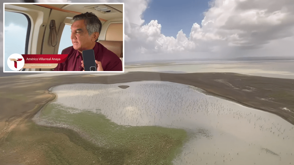 Lo que «Alberto» se&nbsp;llevó