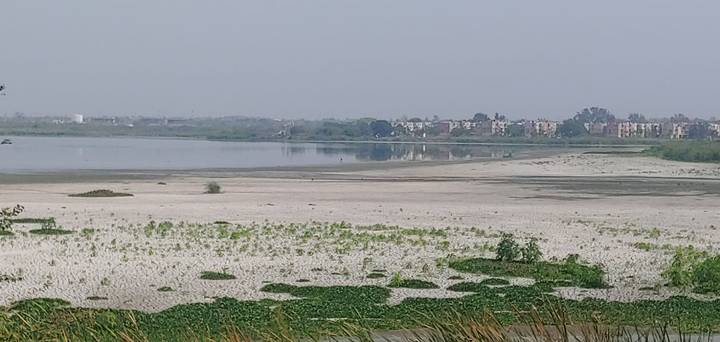 Los falsos mesías del&nbsp;agua