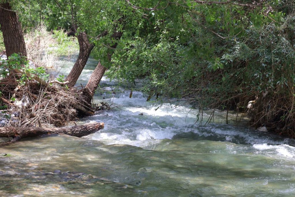 Supervisan atención yvigilancia en centrosrecreativos y&nbsp;balnearios.