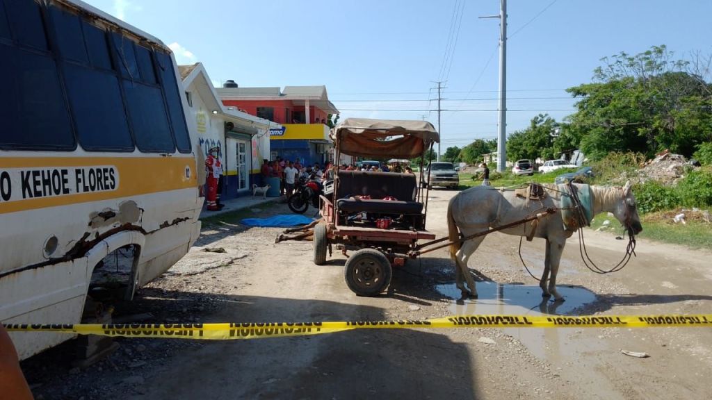Carretonero muere pateado por su propio&nbsp;caballo.