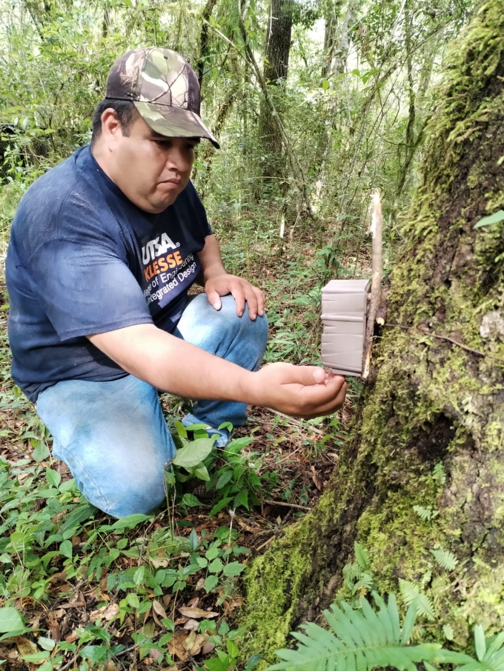 Arranca Comisión de Parques monitoreo del oso negro americano en&nbsp;Tamaulipas