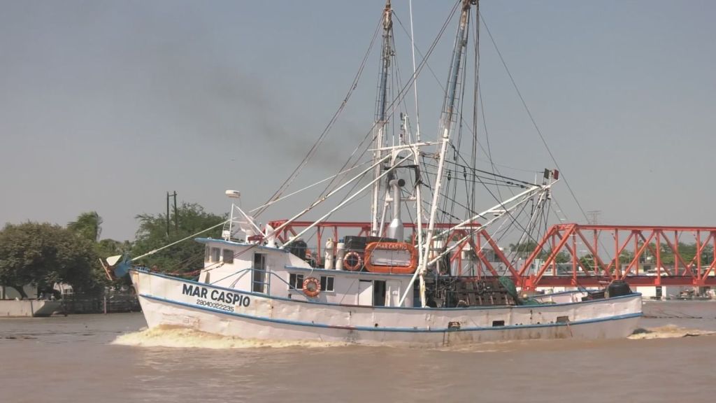 Es flota camaronera tamaulipeca, la más grande del Golfo de&nbsp;México