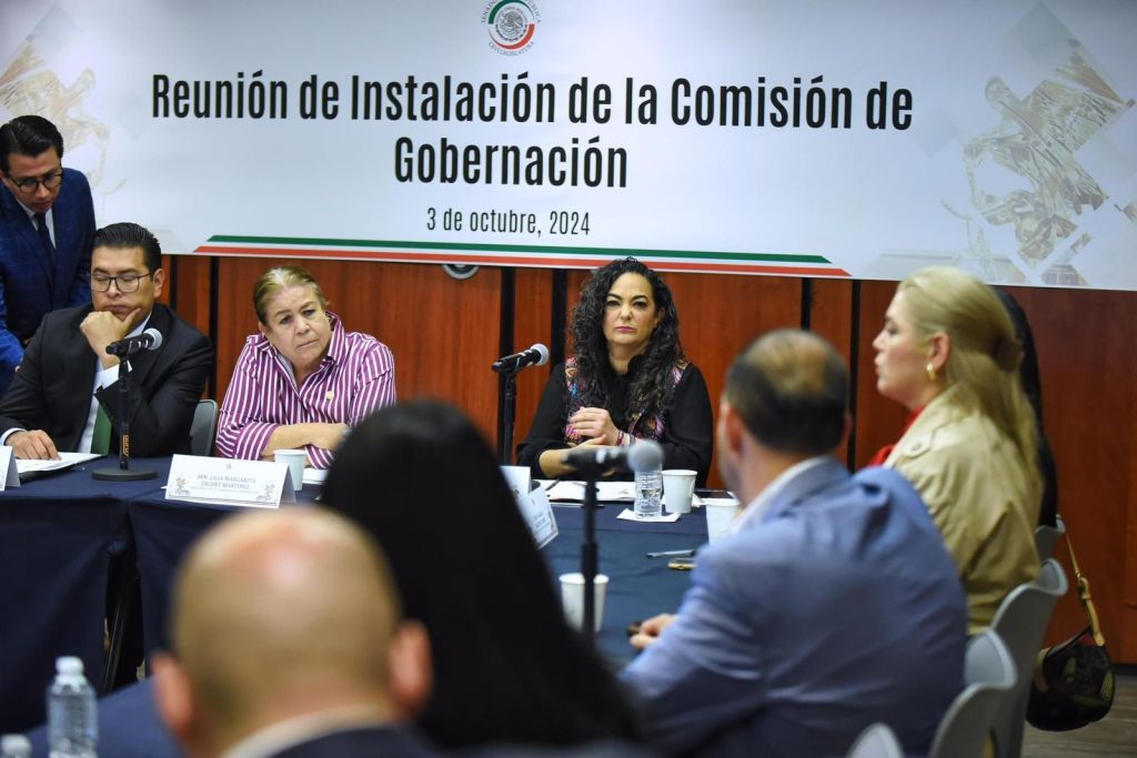 La Secretaría de Gobernación y la comisión del Senado trabajarán para consolidar derechos: Olga&nbsp;Sosa