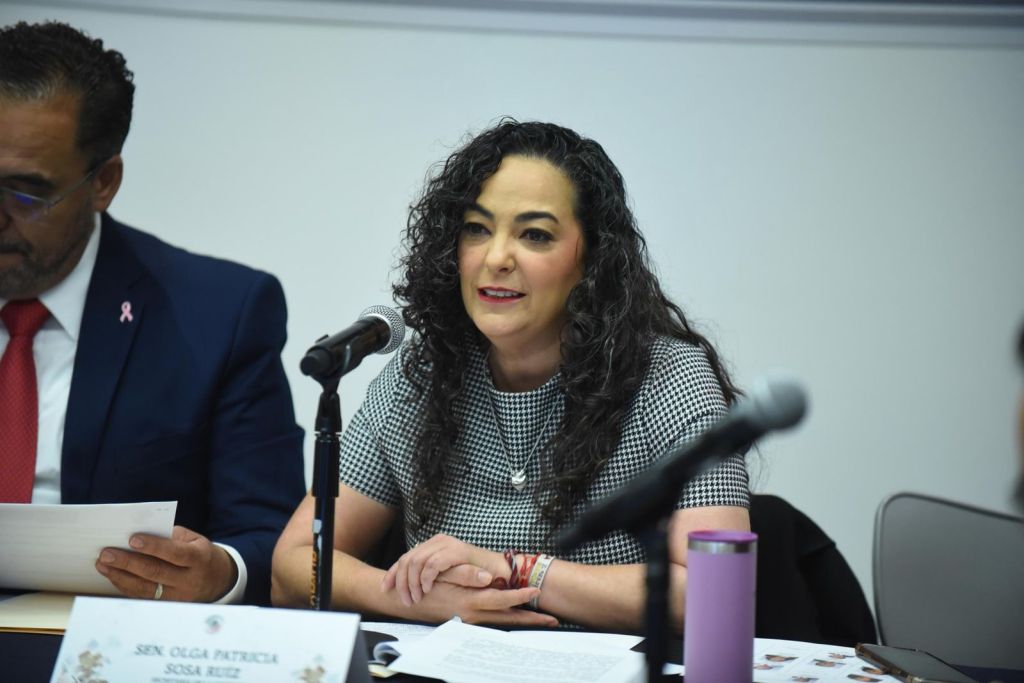 Senado realizará audiencias públicas en Estados fronterizos: Olga Sosa&nbsp;Ruíz