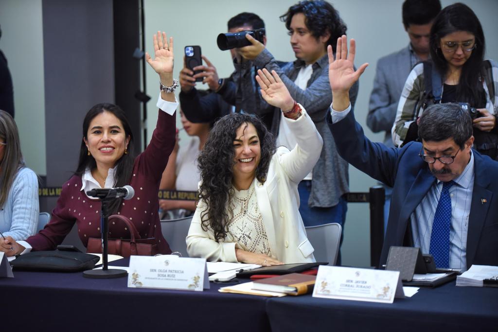 Senado aprueba elevar programas sociales a derechos constitucionales