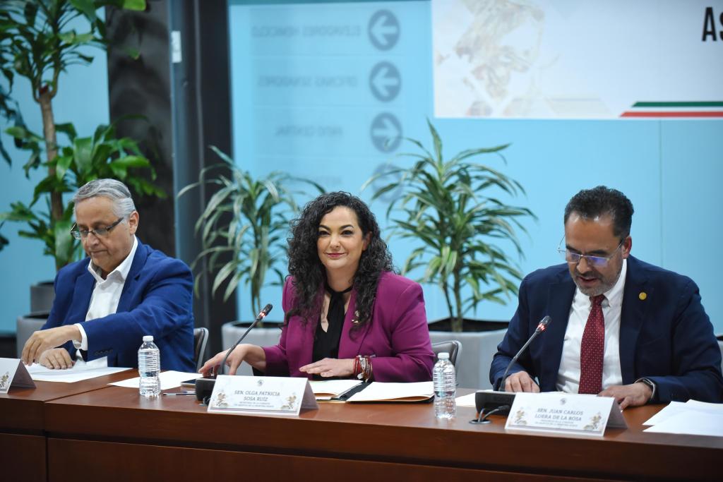 Cuatro ejes de acción para ayudar a la frontera norte del país: Olga&nbsp;Sosa